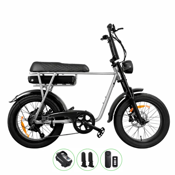EB2 | Elektrische Fatbike | Zilver | 250W
