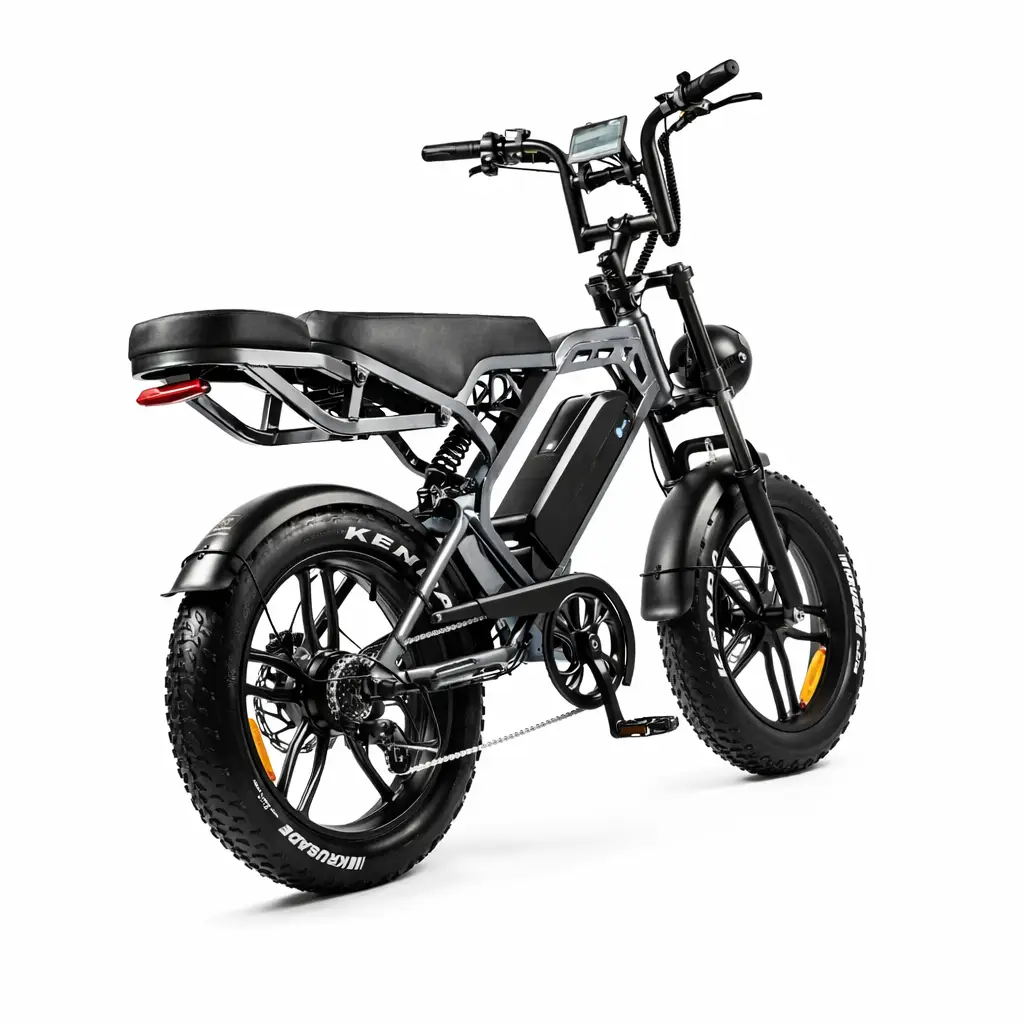 V20 Pro Fatbike | 250W | Donkergrijs | Elektrische fatbike - Afbeelding 4